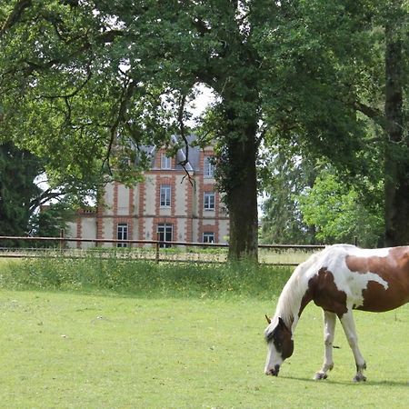 Chateau De Beauchene Chambres D'Hotes Allogny Luaran gambar